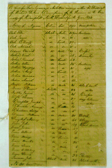 A List of Free Negroes and Mulattoes 