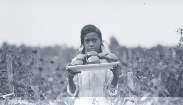 Bernice Wright, Member Home Makers Club, with dish of tomatoes grown in her garden.